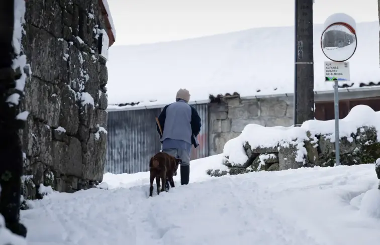Pessoa caminha na rua cheia de neve, com um cão.